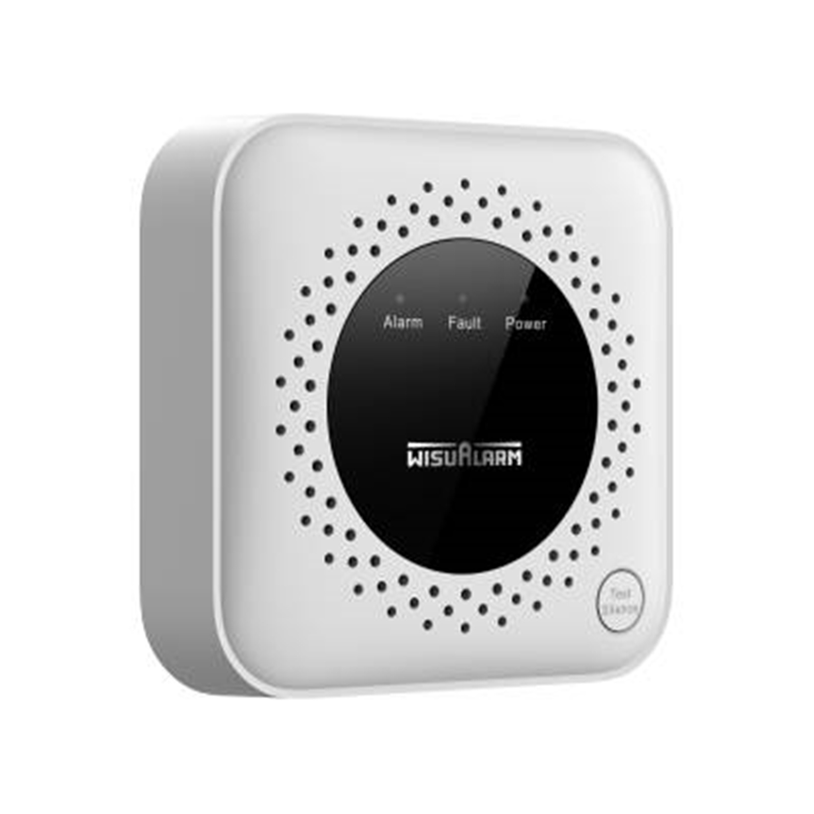 Wisualarm Standalone Natural Gas Alarm