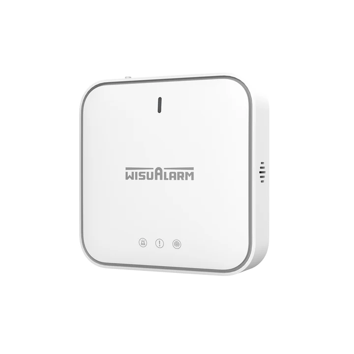 Wisualarm Wifi and Ethernet Gateway for Interconnected Devices