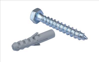 M10x50mm Coach Screw & Plug (1)