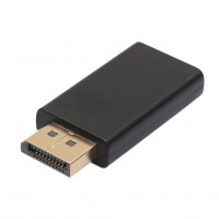 HDMI to DisplayPort Adapter