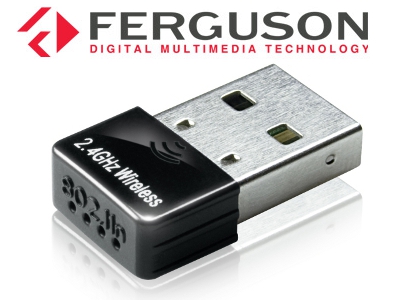 Mini W02-W400 USB WiFi Stick for Ferguson Receivers