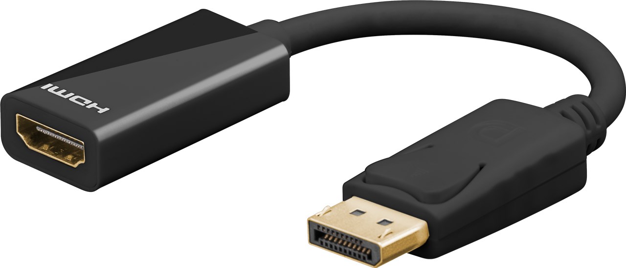 HDMI to DisplayPort Adapter with Lead