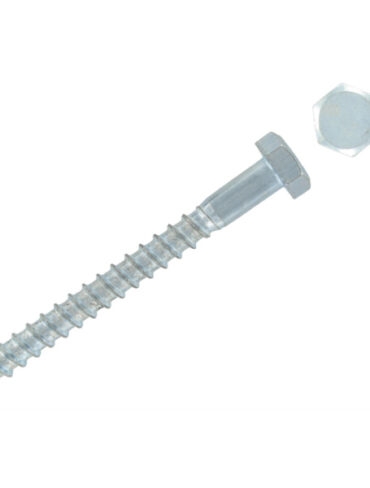M8x80mm Coach Screw & Plug(100)