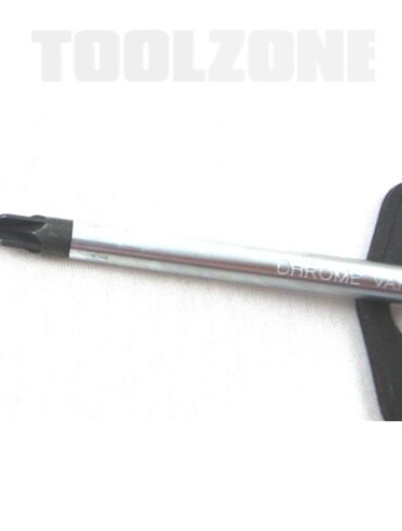 Phillips Screwdriver (100mm)